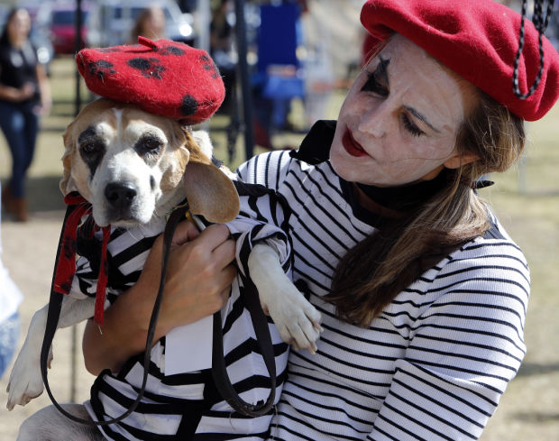 dogtoberfest